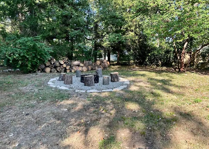4 Bed Ranch-fire Pit-pet & Kid Friendly-king Bed-arcade *